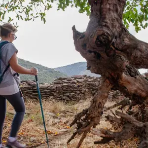 Explore The Heritage Trail of Efeler for 6 days with FONTE TURIZM and discover unforgettable experiences - Photo 8