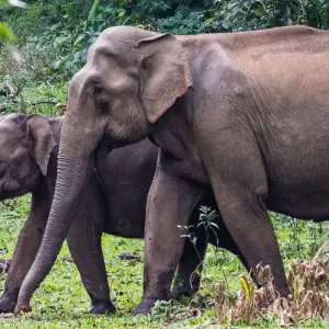 Explore Upgraded - South India: Kerala to Goa for 12 days with Explore! and discover unforgettable experiences - Photo 6
