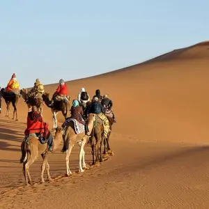 Explore Highlights of Morocco for 9 days with Explore! and discover unforgettable experiences - Photo 10