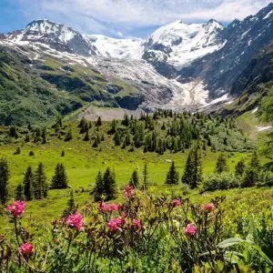 Explore Tour du Mont Blanc Trek for 11 days with Explore! and discover unforgettable experiences - Photo 10
