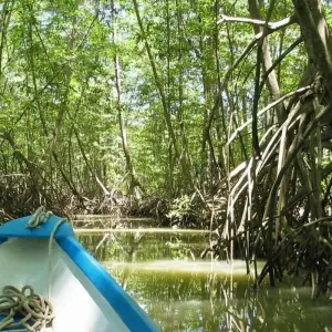 Explore Upgraded - Costa Rica Wildlife for 14 days with Explore! and discover unforgettable experiences - Photo 5