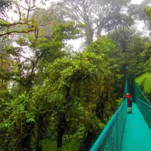 Explore Upgraded - Costa Rica Wildlife for 14 days with Explore! and discover unforgettable experiences - Photo 7