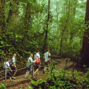 Explore Upgraded - Costa Rica Wildlife for 14 days with Explore! and discover unforgettable experiences - Photo 8