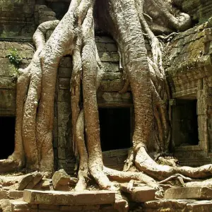 Explore Upgraded - Vietnam and Angkor for 14 days with Explore! and discover unforgettable experiences - Photo 9