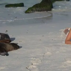 Explore Galapagos - Central & West Islands aboard the Treasure for 9 days with Explore! and discover unforgettable experiences - Photo 2