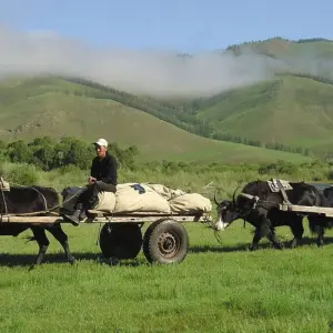 Explore Mongolia Explorer (Nadaam Reverse) for 15 days with Explore! and discover unforgettable experiences - Photo 5