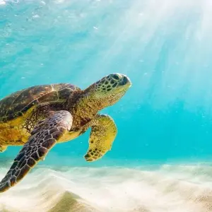 Explore Galapagos - Central & West Islands aboard the Treasure for 9 days with Explore! and discover unforgettable experiences - Photo 6