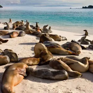 Explore Galapagos - Central & West Islands aboard the Treasure for 9 days with Explore! and discover unforgettable experiences - Photo 9