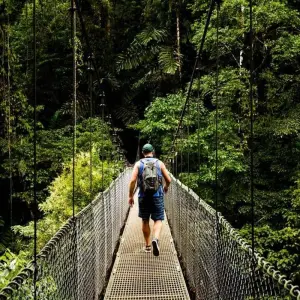Explore Costa Rica Wildlife Tour (15apr To 20dec) for 15 days with Explore! and discover unforgettable experiences - Photo 2
