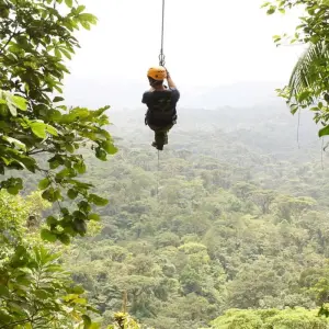 Explore Costa Rica Wildlife Tour (15apr To 20dec) for 15 days with Explore! and discover unforgettable experiences - Photo 6