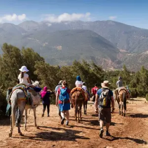 Explore Family Marrakech, Atlas & Essaouira Adventure (New) for 8 days with Explore! and discover unforgettable experiences - Photo 5