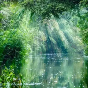 Explore Costa Rica Wildlife Tour (15apr To 20dec) for 15 days with Explore! and discover unforgettable experiences - Photo 8