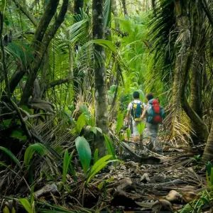 Explore Costa Rica Wildlife Tour (15apr To 20dec) for 15 days with Explore! and discover unforgettable experiences - Photo 9