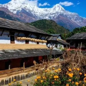 Explore Annapurna Sanctuary Trek for 15 days with Explore! and discover unforgettable experiences - Photo 3