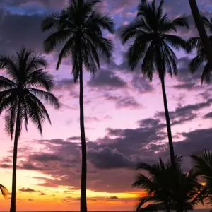 Explore Highlights of Costa Rica + Beach Extension for 10 days with Explore! and discover unforgettable experiences - Photo 7