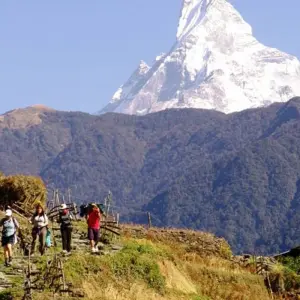 Explore Annapurna Sanctuary Trek for 15 days with Explore! and discover unforgettable experiences - Photo 9