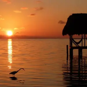 Explore Discover Belize for 13 days with Explore! and discover unforgettable experiences - Photo 7