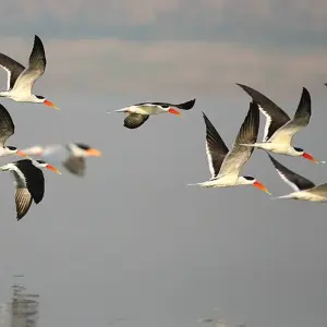 Explore Highlights of Northern India for 15 days with Explore! and discover unforgettable experiences - Photo 9