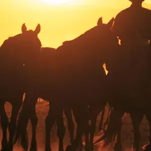 Explore Mongolia Explorer for 14 days with Explore! and discover unforgettable experiences - Photo 4