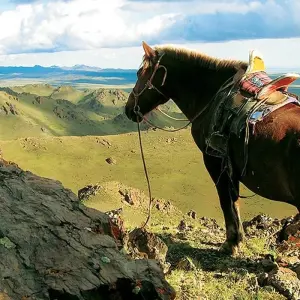 Explore Mongolia Explorer for 14 days with Explore! and discover unforgettable experiences - Photo 6