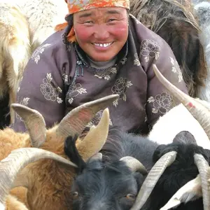 Explore Mongolia Explorer for 14 days with Explore! and discover unforgettable experiences - Photo 7