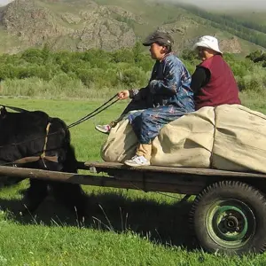 Explore Mongolia Explorer for 14 days with Explore! and discover unforgettable experiences - Photo 8