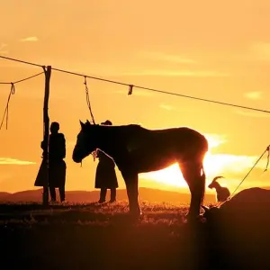 Explore Mongolia Explorer for 14 days with Explore! and discover unforgettable experiences - Photo 10