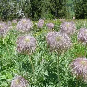 Explore Walking in the Pyrenees for 8 days with Explore! and discover unforgettable experiences - Photo 5