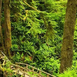 Explore Canadian Rockies and Pacific Coast (Calgary To Vancouver) for 15 days with Explore! and discover unforgettable experiences - Photo 4