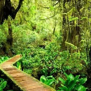 Explore Canadian Rockies and Pacific Coast (Calgary To Vancouver) for 15 days with Explore! and discover unforgettable experiences - Photo 6