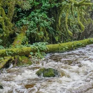 Explore Canadian Rockies and Pacific Coast (Calgary To Vancouver) for 15 days with Explore! and discover unforgettable experiences - Photo 7