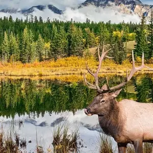 Explore Canadian Rockies and Pacific Coast (Calgary To Vancouver) for 15 days with Explore! and discover unforgettable experiences - Photo 10