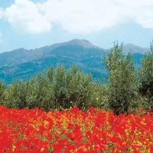 Explore Moorish Andalucia for 10 days with Explore! and discover unforgettable experiences - Photo 11