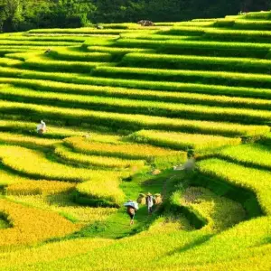 Explore Walking in Vietnam for 14 days with Explore! and discover unforgettable experiences - Photo 6