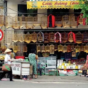 Explore Walking in Vietnam for 14 days with Explore! and discover unforgettable experiences - Photo 8