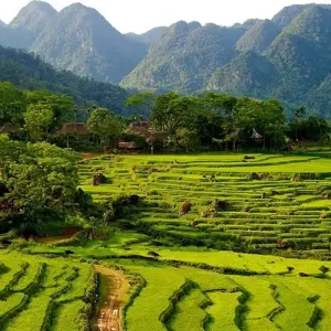 Explore Walking in Vietnam for 14 days with Explore! and discover unforgettable experiences - Photo 9