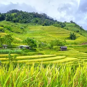 Explore Walking in Vietnam for 14 days with Explore! and discover unforgettable experiences - Photo 11