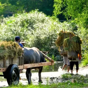 Explore Walking in Vietnam + Cambodia Highlights for 21 days with Explore! and discover unforgettable experiences - Photo 11