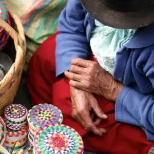 Explore Ecuador - Andes to Amazon for 14 days with Explore! and discover unforgettable experiences - Photo 4