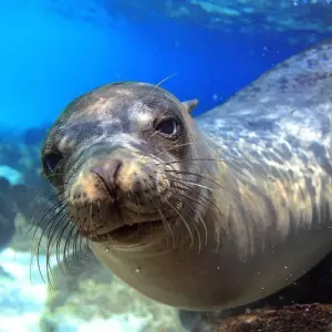 Explore Volcanoes and Galapagos for 15 days with Explore! and discover unforgettable experiences - Photo 6