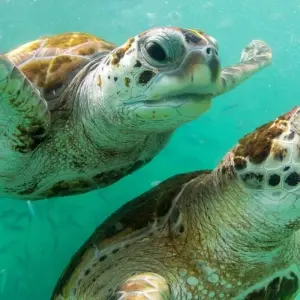 Explore Volcanoes and Galapagos for 15 days with Explore! and discover unforgettable experiences - Photo 7