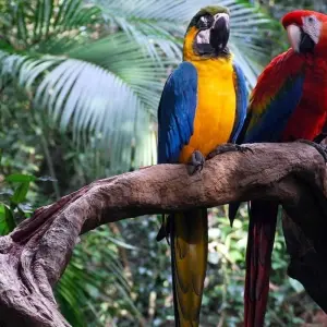 Explore Ecuador - Andes to Amazon for 14 days with Explore! and discover unforgettable experiences - Photo 7