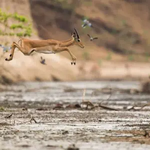 Explore Victoria Falls Extension for 4 days with Explore! and discover unforgettable experiences - Photo 5