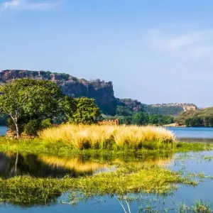 Explore Ranthambore Wildlife Extension for 4 days with Explore! and discover unforgettable experiences - Photo 4