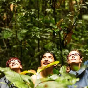 Explore Ecuador - Andes to Amazon for 14 days with Explore! and discover unforgettable experiences - Photo 10