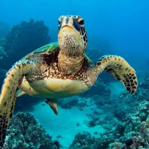 Explore Volcanoes and Galapagos for 15 days with Explore! and discover unforgettable experiences - Photo 11