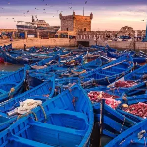 Explore Walking in Morocco - Atlas to Atlantic for 8 days with Explore! and discover unforgettable experiences - Photo 8