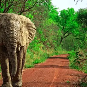 Explore Best of Ghana for 15 days with Explore! and discover unforgettable experiences - Photo 3