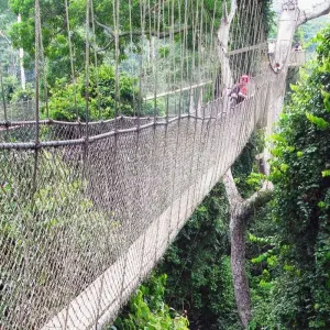 Explore Best of Ghana for 15 days with Explore! and discover unforgettable experiences - Photo 8