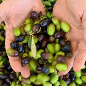 Explore Highlights of Greece for 8 days with Explore! and discover unforgettable experiences - Photo 5